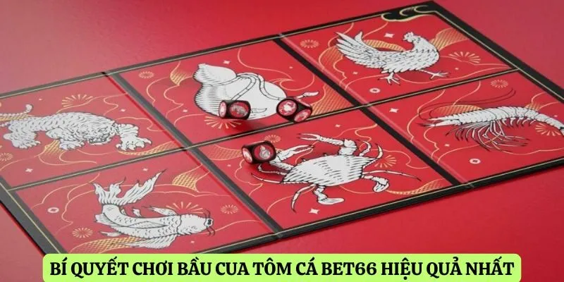 Bí quyết chơi bầu cua tôm cá Bet66 hiệu quả nhất