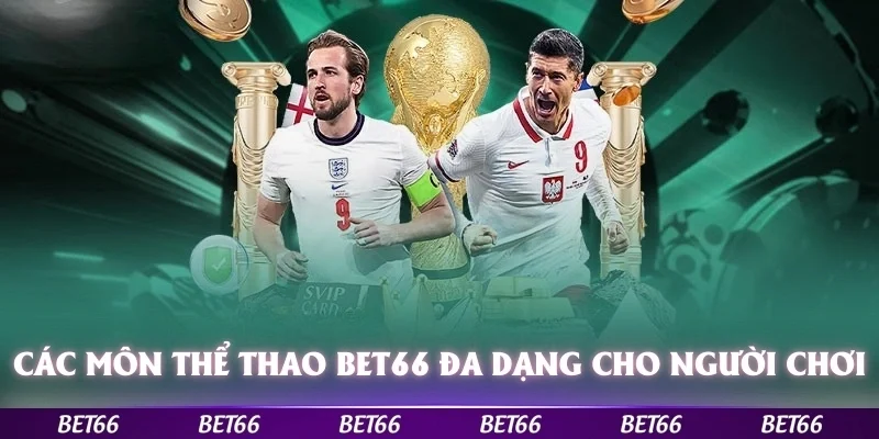 Các môn thể thao Bet66 đa dạng làm hài lòng những người chơi lâu năm 