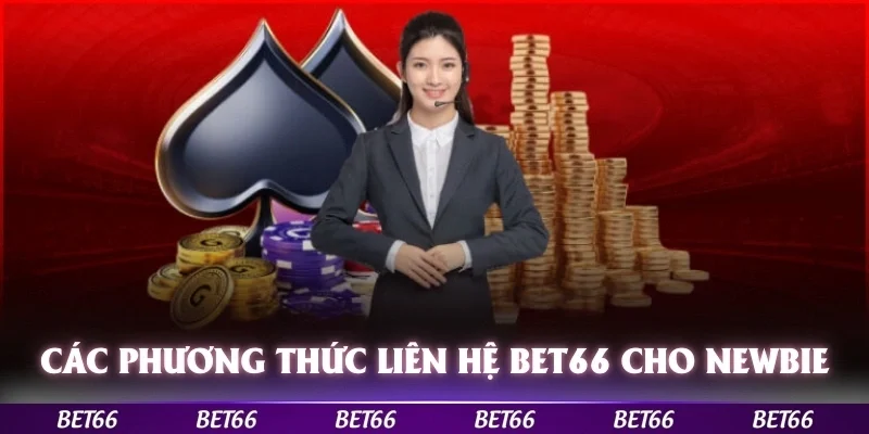 Các phương thức liên hệ bet66 dành cho newbie 