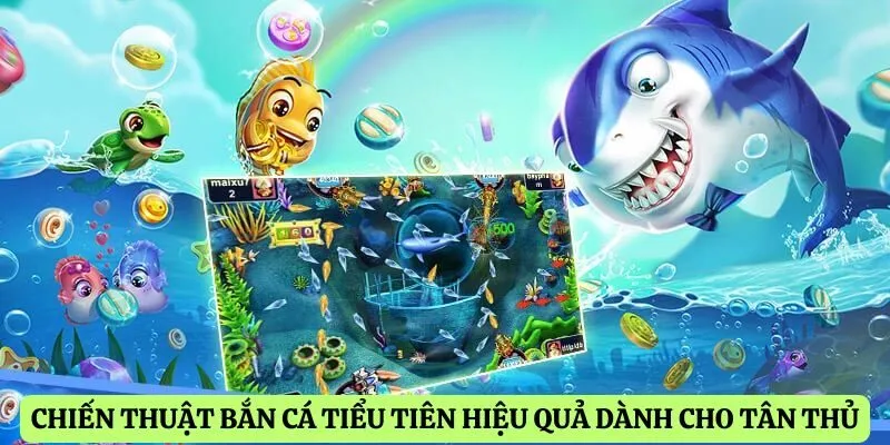 Chiến thuật bắn cá tiểu tiên hiệu quả dành cho tân thủ