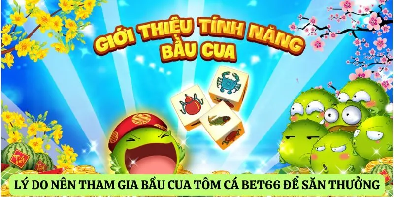 Lý do nên tham gia bầu cua tôm cá Bet66 để săn thưởng