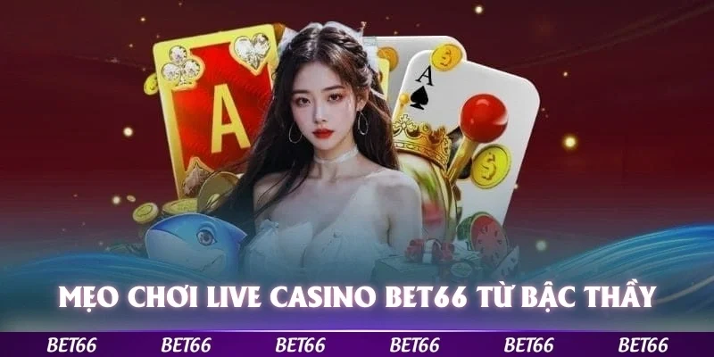 Mẹo chơi live casino Bet66 từ bậc thầy