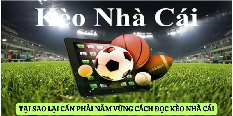 Tại sao lại cần phải nắm vững cách đọc kèo nhà cái