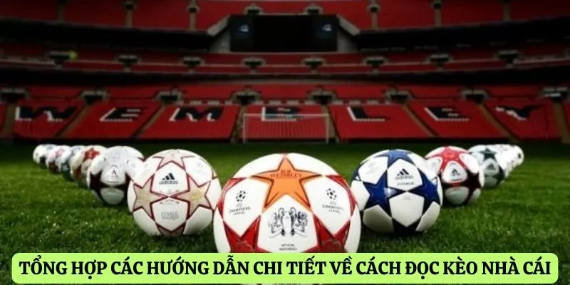Tổng hợp các hướng dẫn chi tiết về cách đọc kèo nhà cái