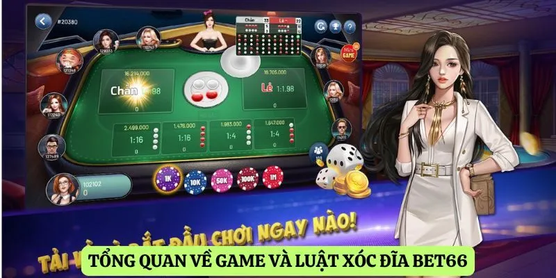Tổng quan về game và luật xóc đĩa Bet66
