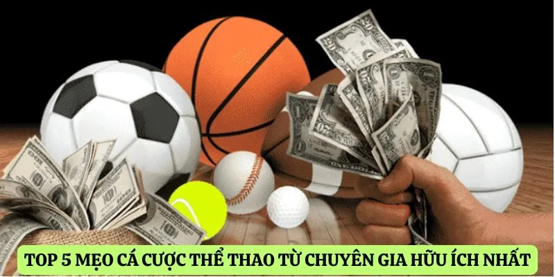 Top 5 mẹo cá cược thể thao từ chuyên gia hữu ích nhất